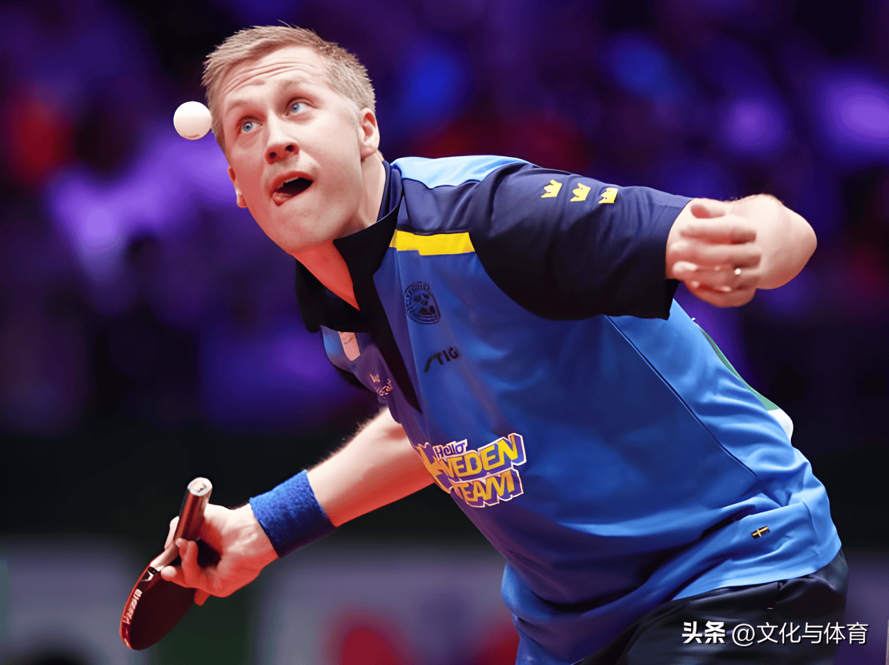 赛后法兰克福调整名单以备世预赛，强势反弹环节打磨，气氛紧张，训练强度显著提升的简单介绍-九游账号